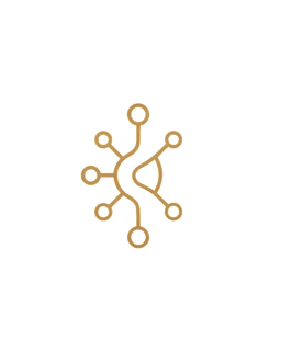 Aivelin Logo